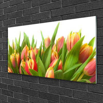 Druck auf Glas Tulpen Pflanzen