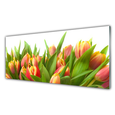 Druck auf Glas Tulpen Pflanzen