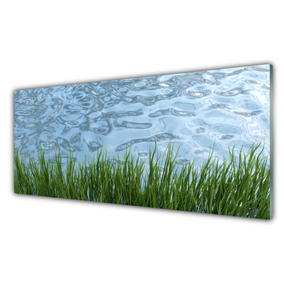 Druck auf Glas Gras Wasser Natur