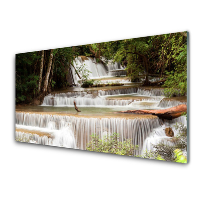 Druck auf Glas Wasserfall Wald Natur