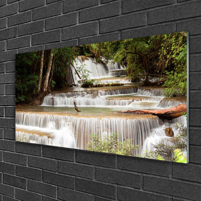 Druck auf Glas Wasserfall Wald Natur