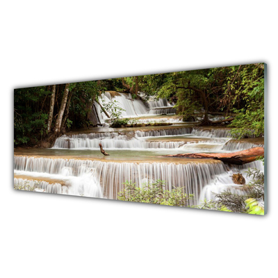 Druck auf Glas Wasserfall Wald Natur