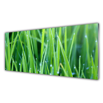 Druck auf Glas Gras Natur