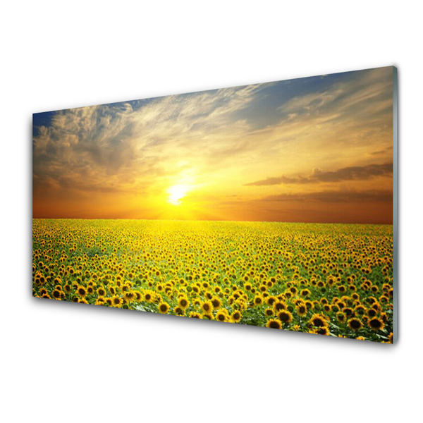 Druck auf Glas Sonne Wiese Sonnenblumen Natur