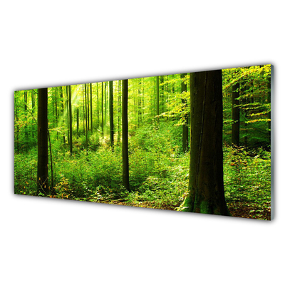 Druck auf Glas Wald Natur