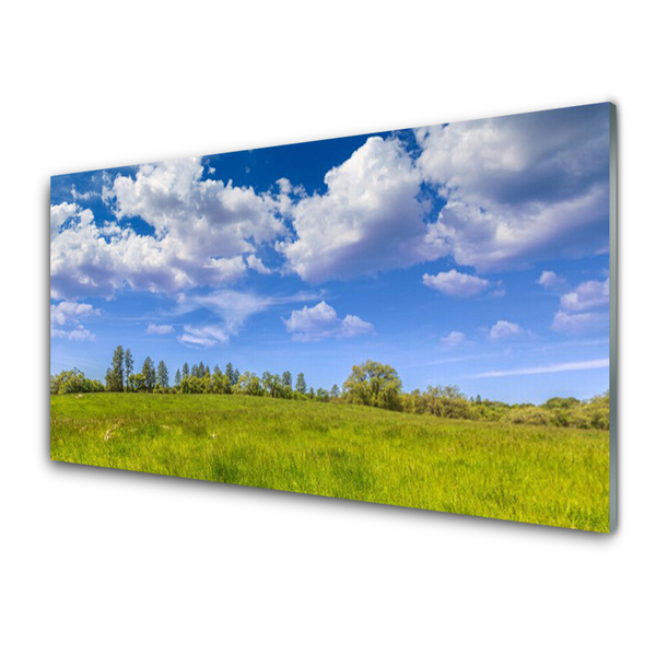 Druck auf Glas Wiese Gras Landschaft