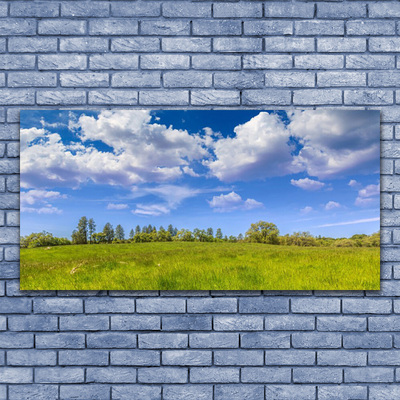 Druck auf Glas Wiese Gras Landschaft