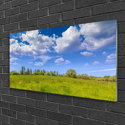 Druck auf Glas Wiese Gras Landschaft