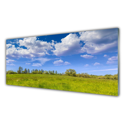 Druck auf Glas Wiese Gras Landschaft