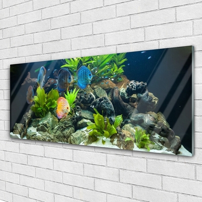 Druck auf Glas Fische Steine Blätter Natur