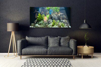 Druck auf Glas Fische Steine Blätter Natur
