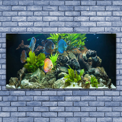 Druck auf Glas Fische Steine Blätter Natur
