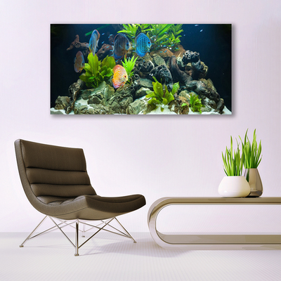 Druck auf Glas Fische Steine Blätter Natur