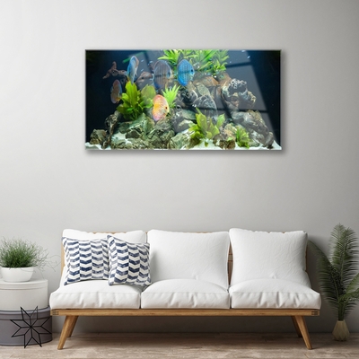 Druck auf Glas Fische Steine Blätter Natur
