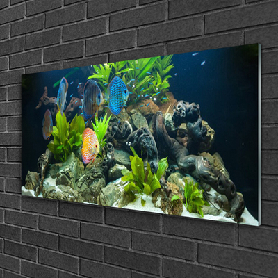 Druck auf Glas Fische Steine Blätter Natur