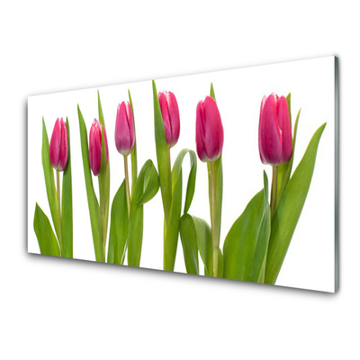 Druck auf Glas Tulpen Pflanzen