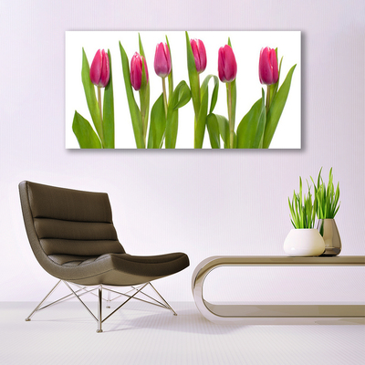 Druck auf Glas Tulpen Pflanzen