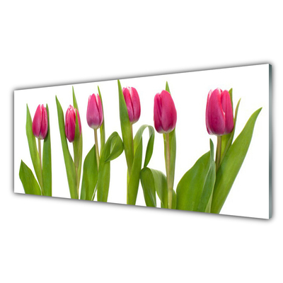 Druck auf Glas Tulpen Pflanzen