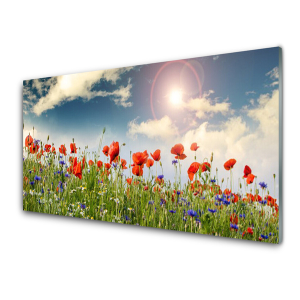 Druck auf Glas Wiese Blumen Natur