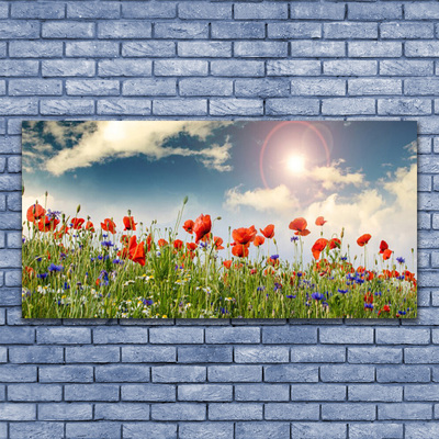 Druck auf Glas Wiese Blumen Natur