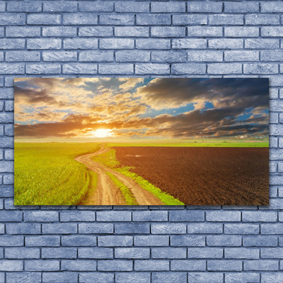 Druck auf Glas Acker Fußpfad Landschaft