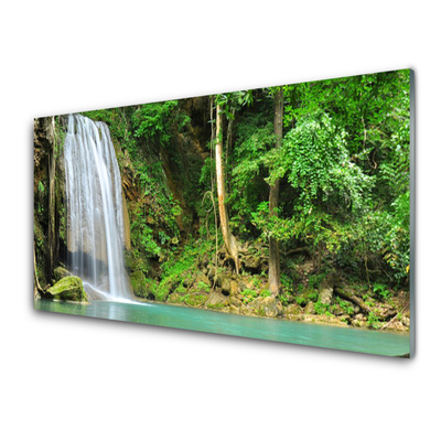 Druck auf Glas Wasserfall Wald Natur