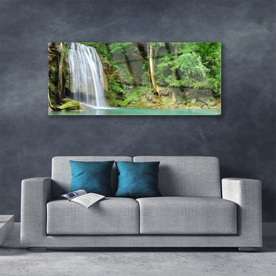 Druck auf Glas Wasserfall Wald Natur