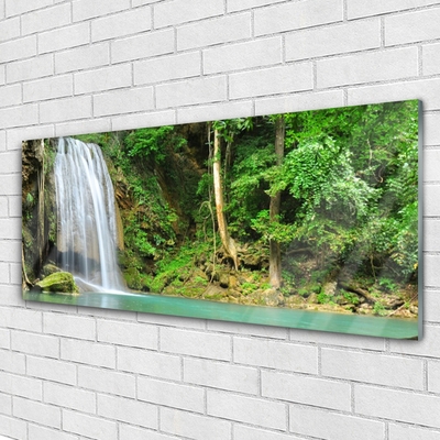 Druck auf Glas Wasserfall Wald Natur