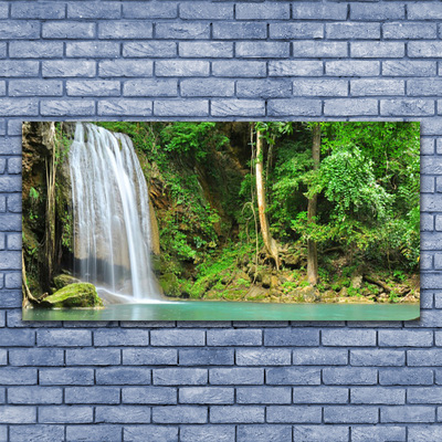 Druck auf Glas Wasserfall Wald Natur