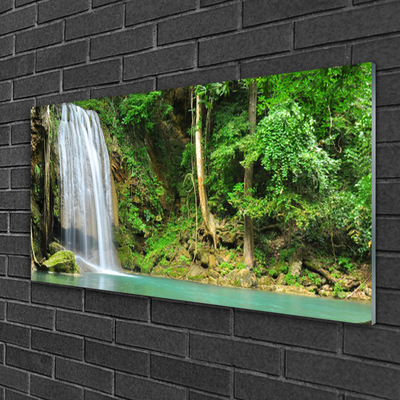 Druck auf Glas Wasserfall Wald Natur