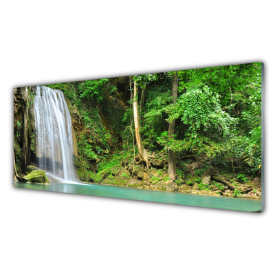 Druck auf Glas Wasserfall Wald Natur