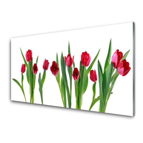 Druck auf Glas Tulpen Pflanzen