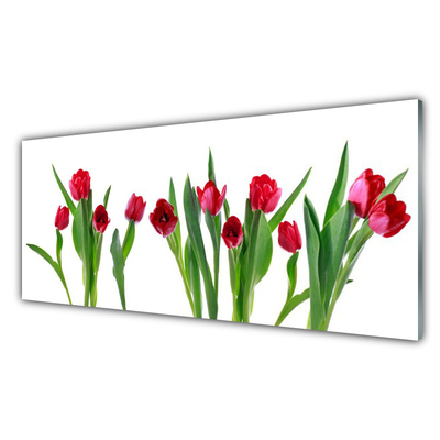 Druck auf Glas Tulpen Pflanzen