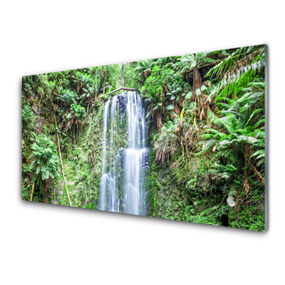 Druck auf Glas Wasserfall Bäume Natur