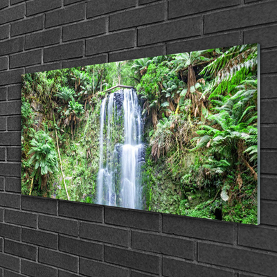 Druck auf Glas Wasserfall Bäume Natur