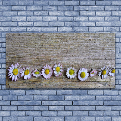 Druck auf Glas Gänseblümchen Pflanzen