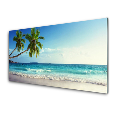 Druck auf Glas Palmen Strand Meer Landschaft