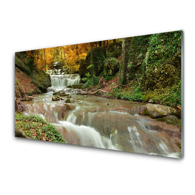 Druck auf Glas Wasserfall Wald Natur