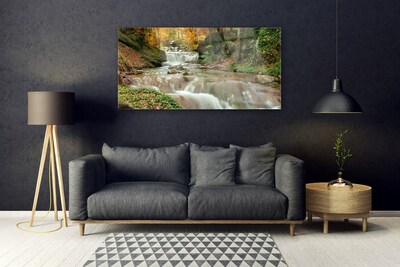 Druck auf Glas Wasserfall Wald Natur