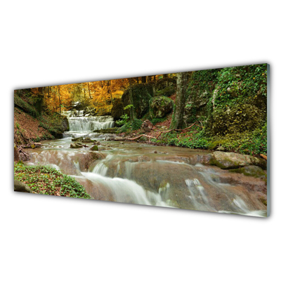 Druck auf Glas Wasserfall Wald Natur