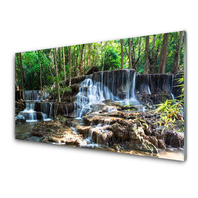 Druck auf Glas Wasserfall Wald Natur