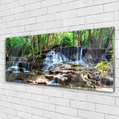 Druck auf Glas Wasserfall Wald Natur