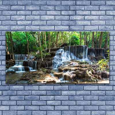 Druck auf Glas Wasserfall Wald Natur