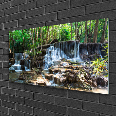 Druck auf Glas Wasserfall Wald Natur