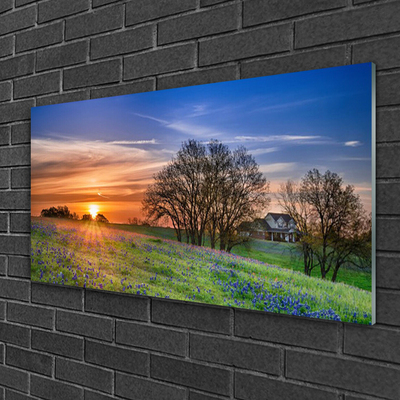 Druck auf Glas Wiese Sonne Landschaft