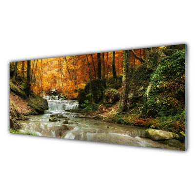 Druck auf Glas Wasserfall Wald Natur