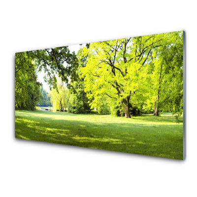 Druck auf Glas Gras Bäume Natur