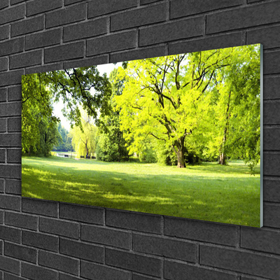 Druck auf Glas Gras Bäume Natur