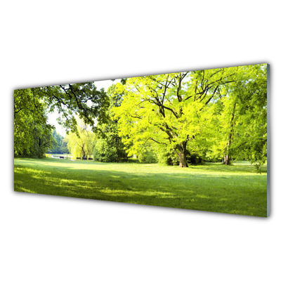 Druck auf Glas Gras Bäume Natur