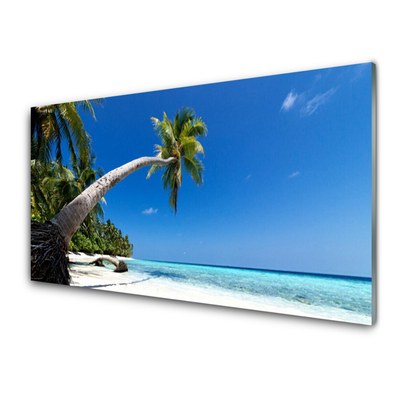 Druck auf Glas Strand Palme Meer Landschaft